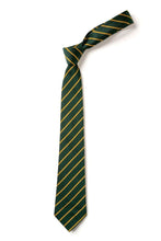 TS11 - School Tie
