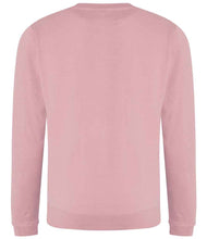 JH030 Dusty Pink Back