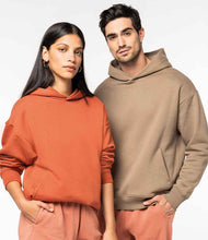 NS408 Burnt Brick Model