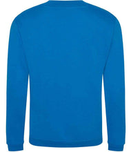 RX301 Sapphire Blue Back